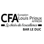 website logo