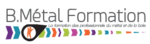 website logo
